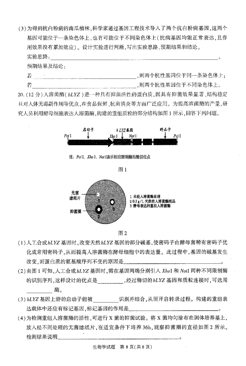 2024届安徽省合肥市高三一模生物试题_2024年3月_013月合集_2024届安徽省合肥市高三第一次教学质量检查_安徽省合肥市2024届高三第一次教学质量检查生物