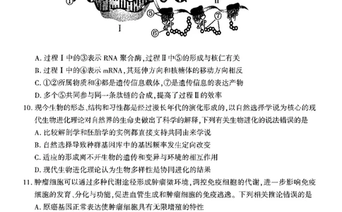 2024届安徽省合肥市高三一模生物试题_2024年3月_013月合集_2024届安徽省合肥市高三第一次教学质量检查_安徽省合肥市2024届高三第一次教学质量检查生物