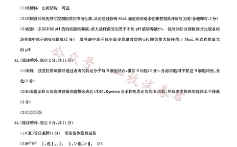 2023届新高考高三核心模拟卷（中）理综答案(2)_2024年2月_022月合集_2023届新高考九师联盟高三核心模拟卷（中）全科含答案