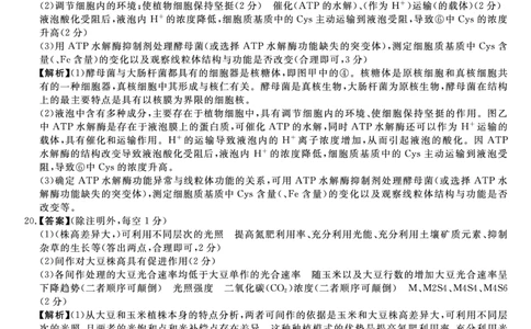 生物答案(1)_2023年10月_0210月合集_2024届河北省金科大联考高三上学期10月联考（24046C）_河北省金科大联考2024届高三上学期10月质量检测生物
