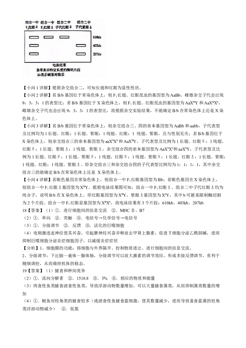 2024届安徽省六安第一中学高三下学期质量检测（三）生物试题_2024年5月_01按日期_30号_2024届安徽省六安第一中学高三下学期质量检测（三）