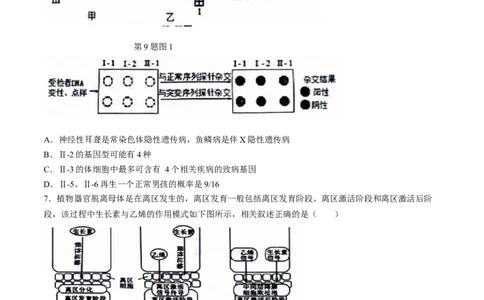 2024届安徽省六安第一中学高三下学期质量检测（三）生物试题_2024年5月_01按日期_30号_2024届安徽省六安第一中学高三下学期质量检测（三）