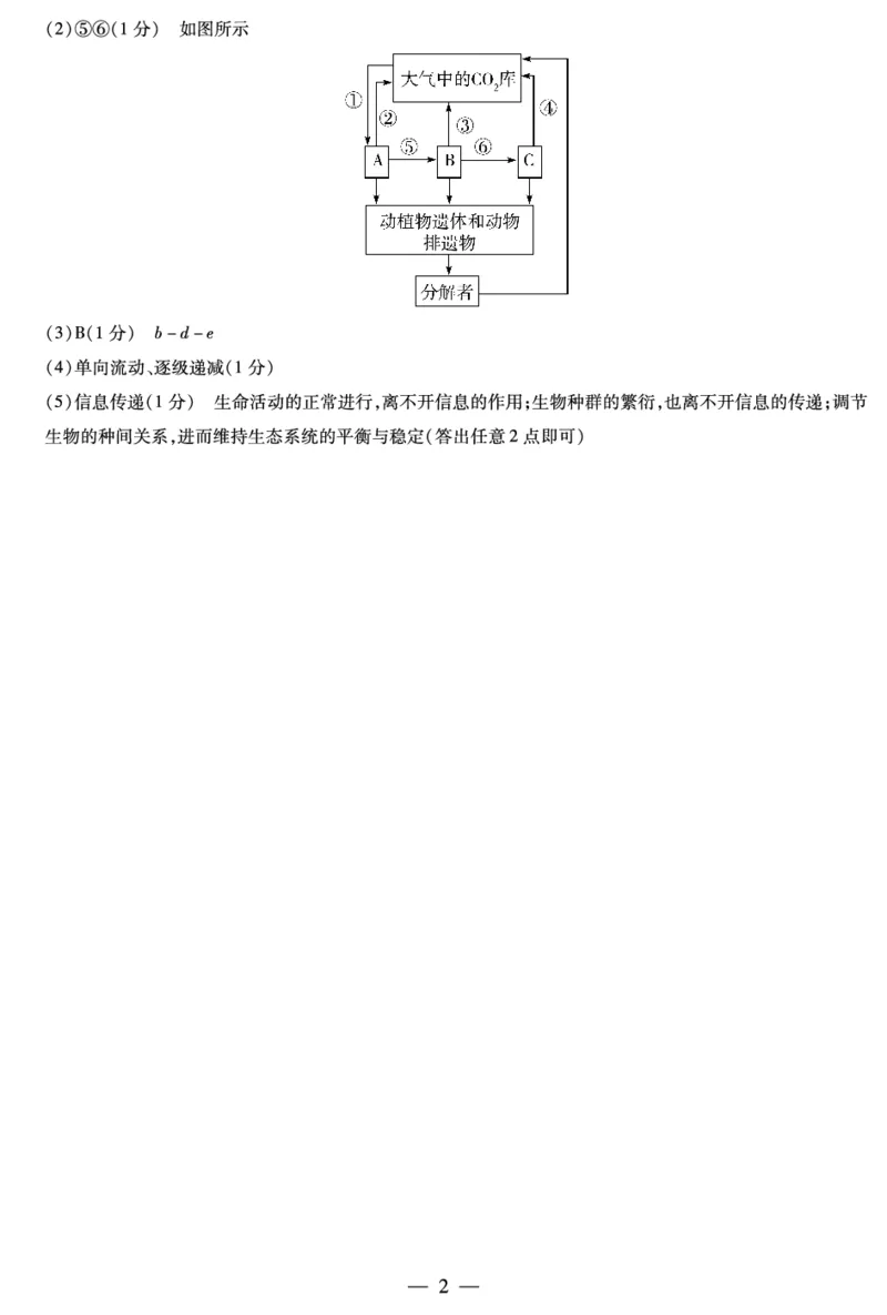 生物学皖豫联盟高三一联答案（简易）(1)_2023年10月_0210月合集_2024届安徽省天一皖豫名校联盟高三上学期第一次大联考_2024届安徽省天一皖豫名校联盟高三上学期第一次大联考生物