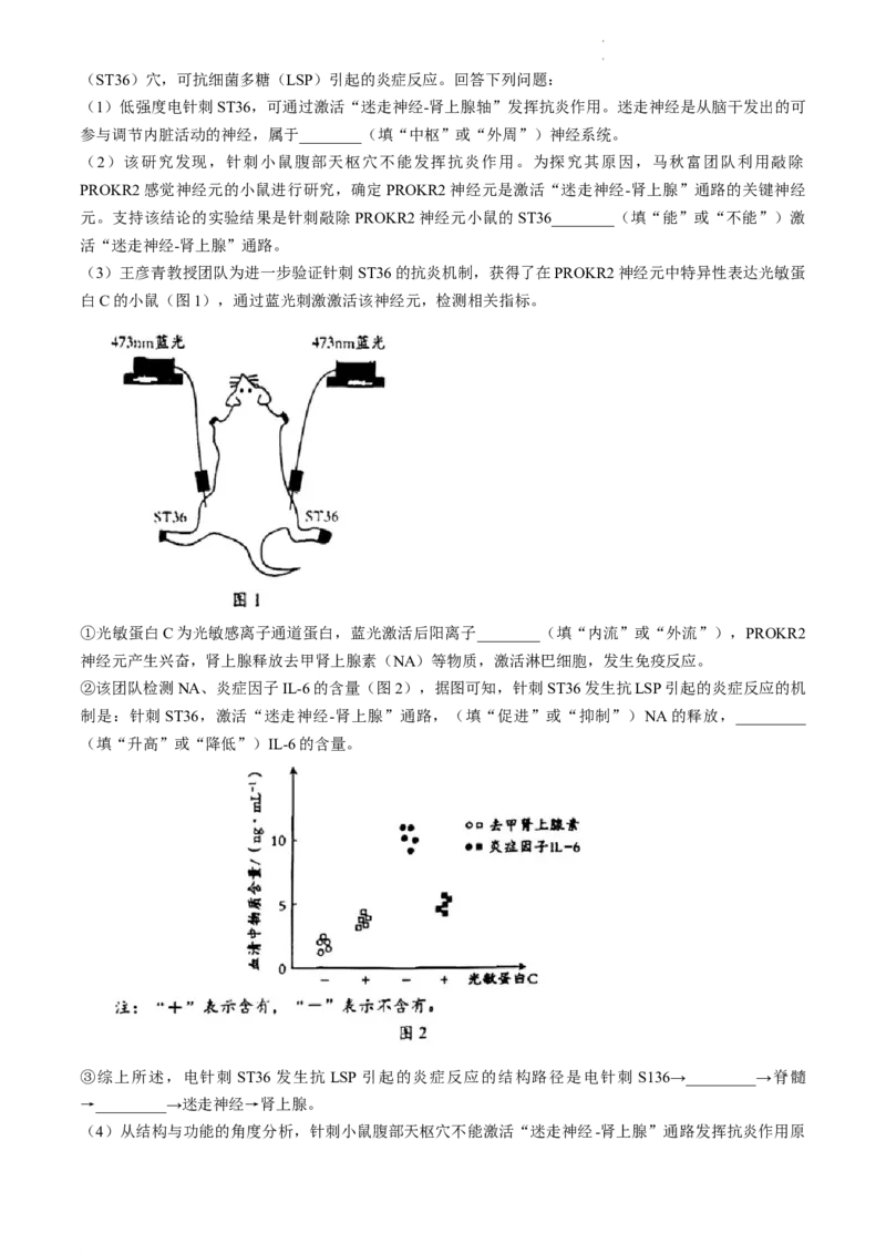 2024届吉林省长春市东北师范大学附属中学高三下学期第六次模拟考试生物试卷_2024年5月_01按日期_28号_2024届吉林东北师大附中高三下第六次模拟考试