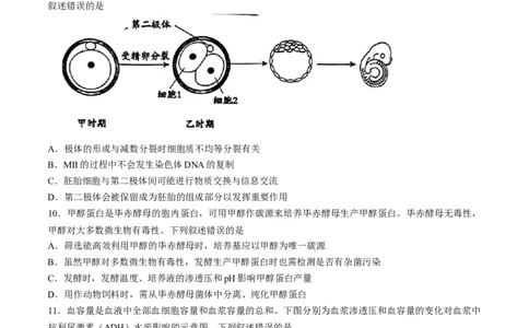 2024届吉林省长春市东北师范大学附属中学高三下学期第六次模拟考试生物试卷_2024年5月_01按日期_28号_2024届吉林东北师大附中高三下第六次模拟考试