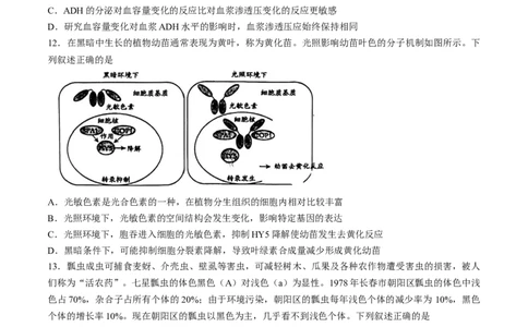 2024届吉林省长春市东北师范大学附属中学高三下学期第六次模拟考试生物试卷_2024年5月_01按日期_28号_2024届吉林东北师大附中高三下第六次模拟考试