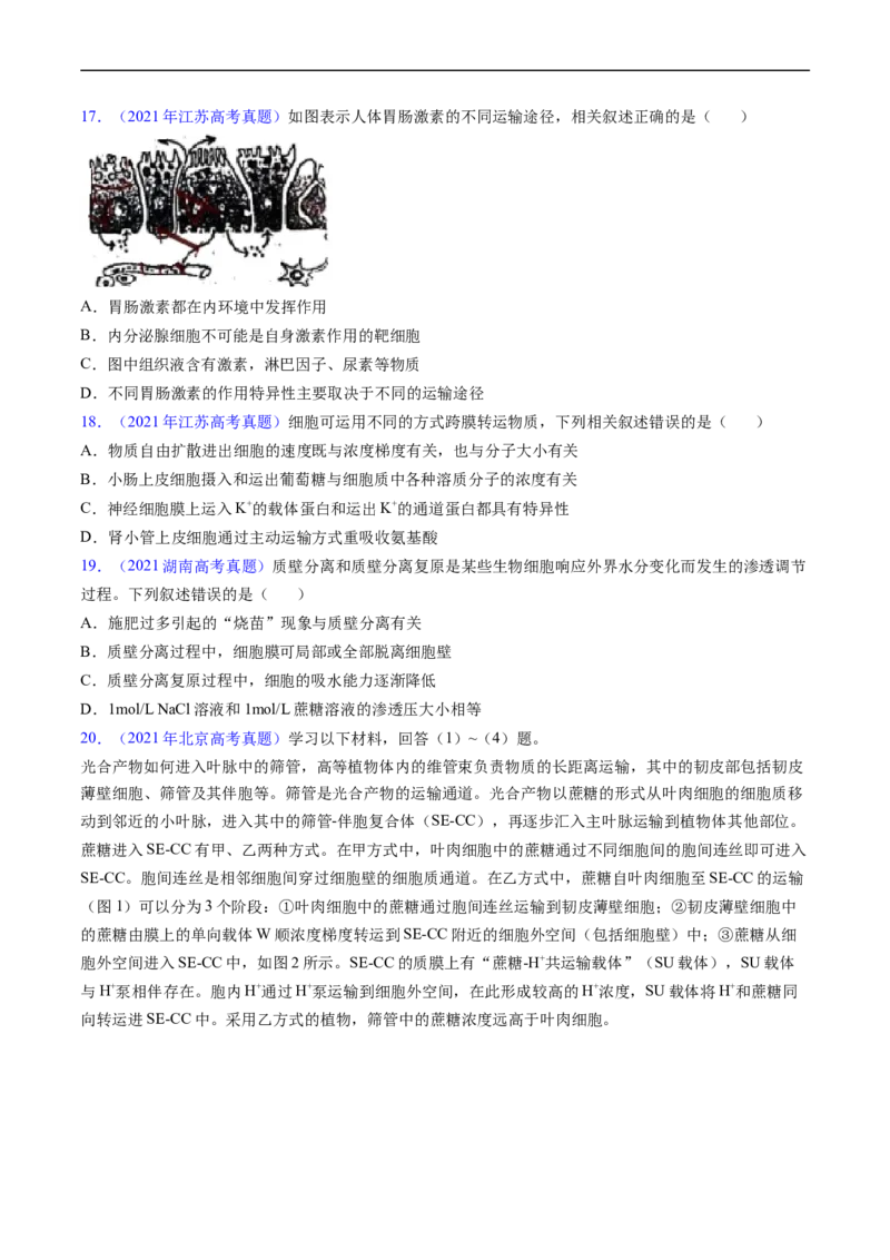 专题03物质运输-五年（2019-2023）高考生物真题分项汇编（全国通用）（原卷版）_赠送：2008-2024全套高考真题_高考生物真题_送高考生物五年真题(2019-2023)分项汇编（全国通用）