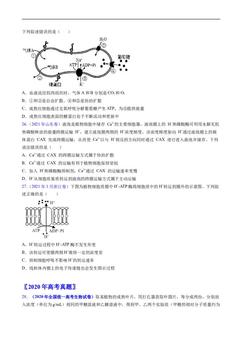 专题03物质运输-五年（2019-2023）高考生物真题分项汇编（全国通用）（原卷版）_赠送：2008-2024全套高考真题_高考生物真题_送高考生物五年真题(2019-2023)分项汇编（全国通用）