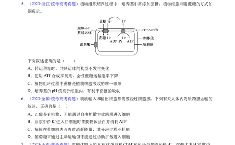 专题03物质运输-五年（2019-2023）高考生物真题分项汇编（全国通用）（原卷版）_赠送：2008-2024全套高考真题_高考生物真题_送高考生物五年真题(2019-2023)分项汇编（全国通用）