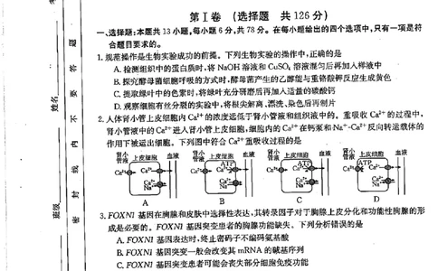 2024届四川金太阳高三2月联考-理科综合(1)_2024年3月_013月合集_2024届四川省金太阳高三下学期开学考试