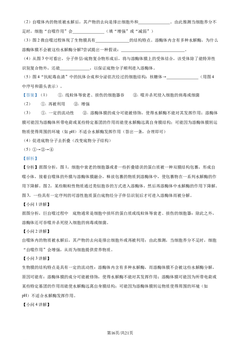 精品解析：湖北省重点高中智学联盟2023-2024学年高三10月联考生物试题（解析版）(1)_2023年10月_0210月合集_2024届湖北省重点高中智学联盟高三上学期10月联考