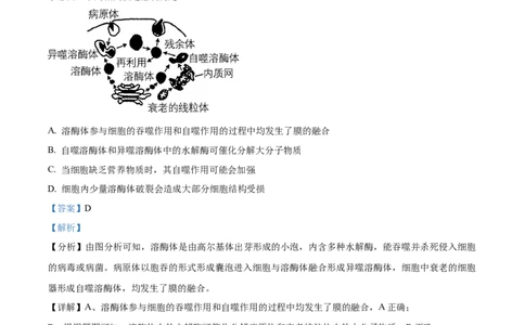 精品解析：湖北省重点高中智学联盟2023-2024学年高三10月联考生物试题（解析版）(1)_2023年10月_0210月合集_2024届湖北省重点高中智学联盟高三上学期10月联考