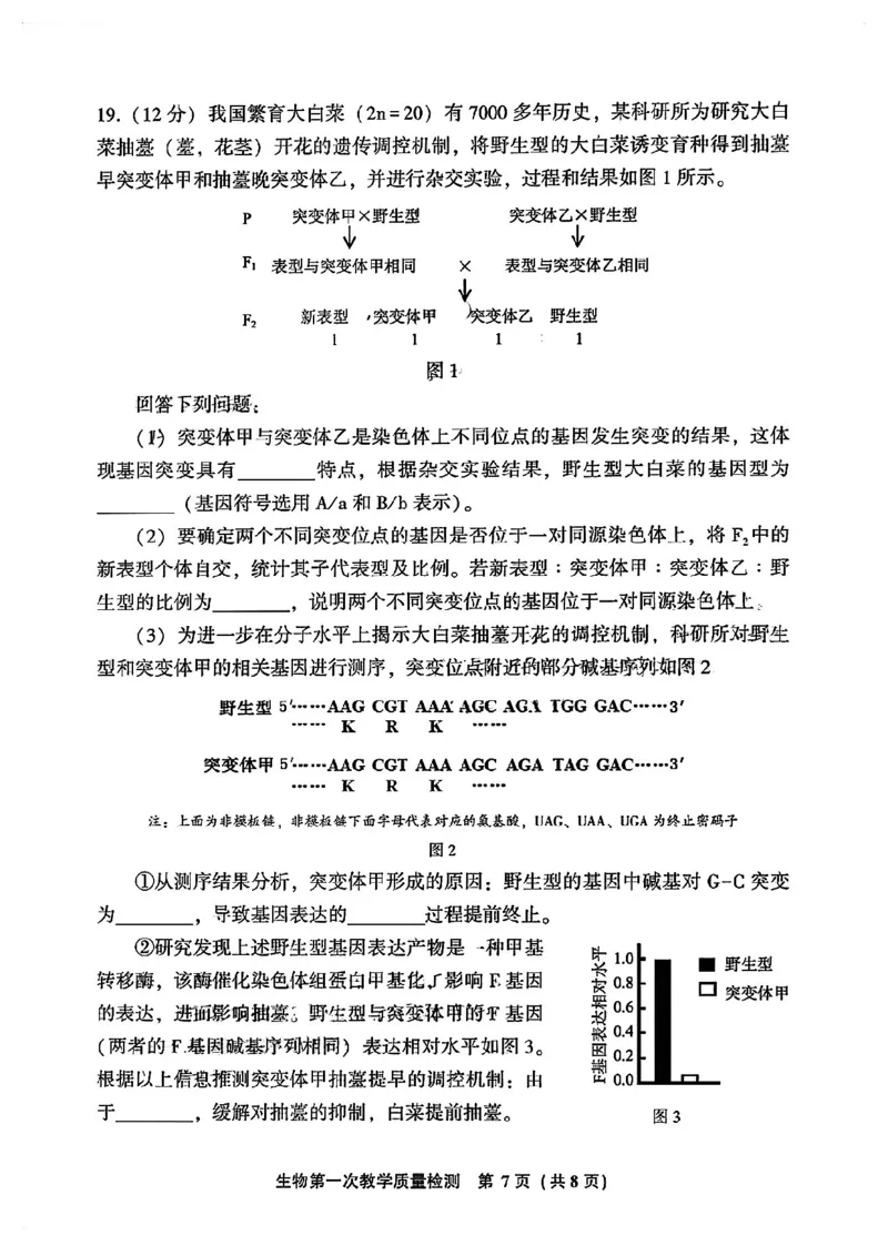 福建省漳州市2023-2024学年高三上学期第一次教学质量检测生物试题(1)_2023年9月_029月合集_2024届福建省漳州市高三上学期第一次教学质量检测