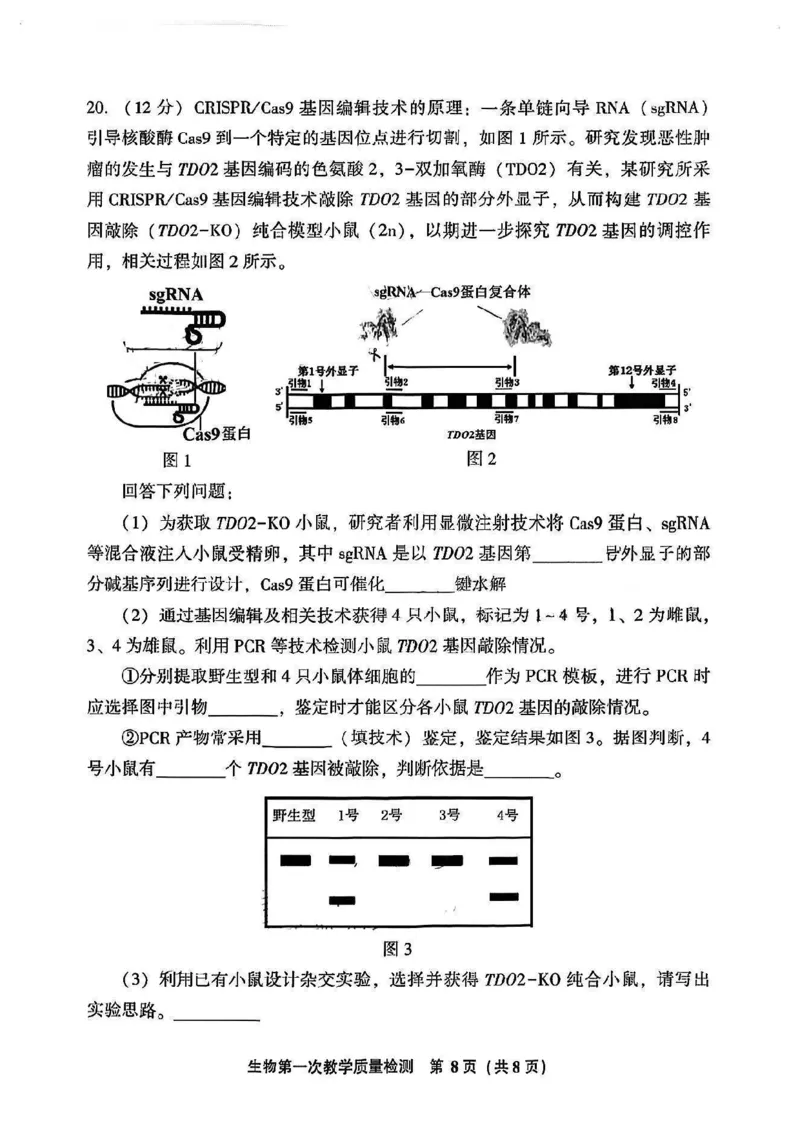 福建省漳州市2023-2024学年高三上学期第一次教学质量检测生物试题(1)_2023年9月_029月合集_2024届福建省漳州市高三上学期第一次教学质量检测