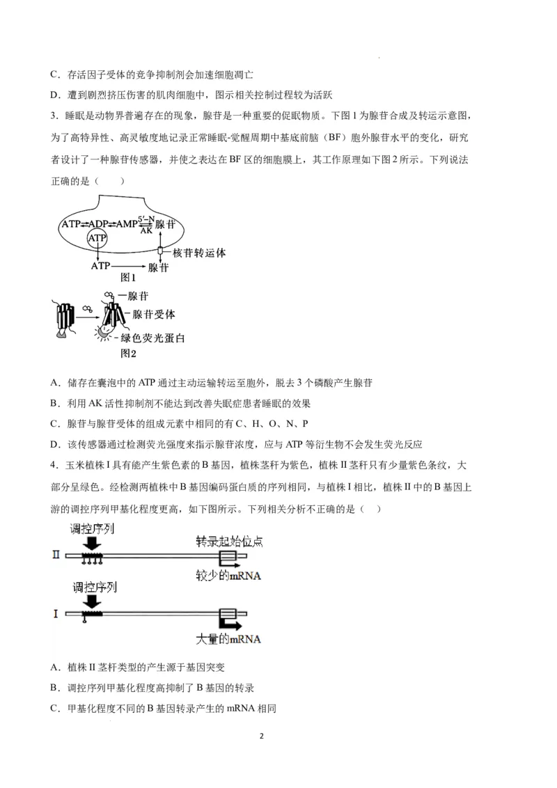 生物（天津卷）（考试版）_2023高考押题卷_学易金卷-2023学科网押题卷（各科各版本）_2023学科网押题卷-学易金卷-生物_生物（天津卷）-学易金卷：2023年高考考前押题密卷
