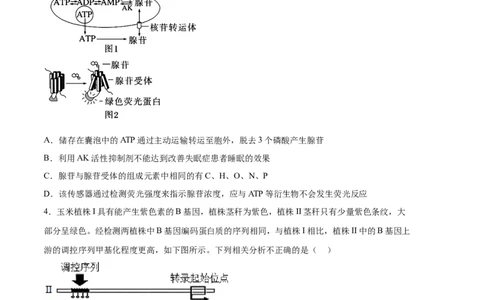 生物（天津卷）（考试版）_2023高考押题卷_学易金卷-2023学科网押题卷（各科各版本）_2023学科网押题卷-学易金卷-生物_生物（天津卷）-学易金卷：2023年高考考前押题密卷