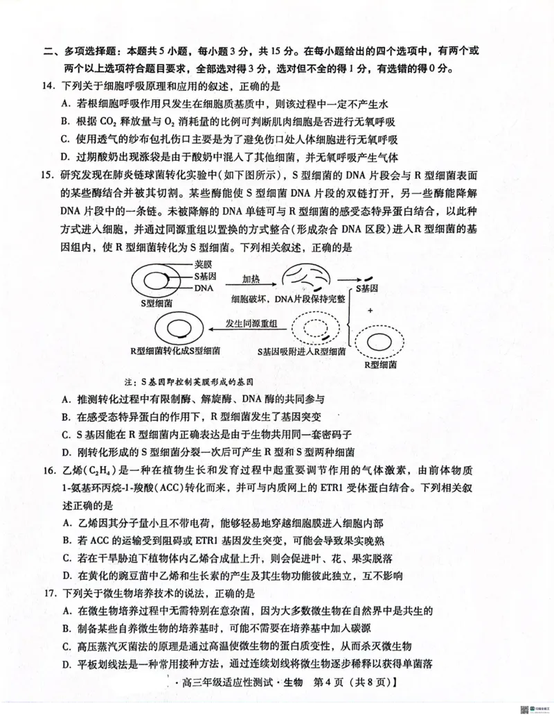 2024届河北省高三下学期适应性测试（二模）生物试题(1)_2024年4月_024月合集_2024届河北省高三下学期适应性测试（二模）