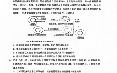 2024届河北省高三下学期适应性测试（二模）生物试题(1)_2024年4月_024月合集_2024届河北省高三下学期适应性测试（二模）