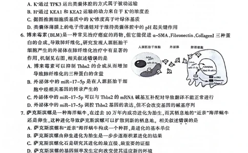 2024届江苏省南通市高三下学期第二次调研测试生物试题(1)_2024年3月_013月合集_2024届江苏省苏北七市高三第二次调研测试