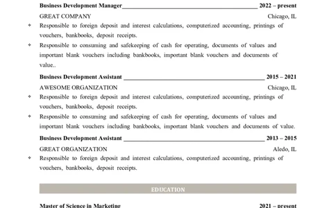 2高端简洁英文CV简历(66)_各类简历_简历模板(1)_英文简历模版86套2025版_