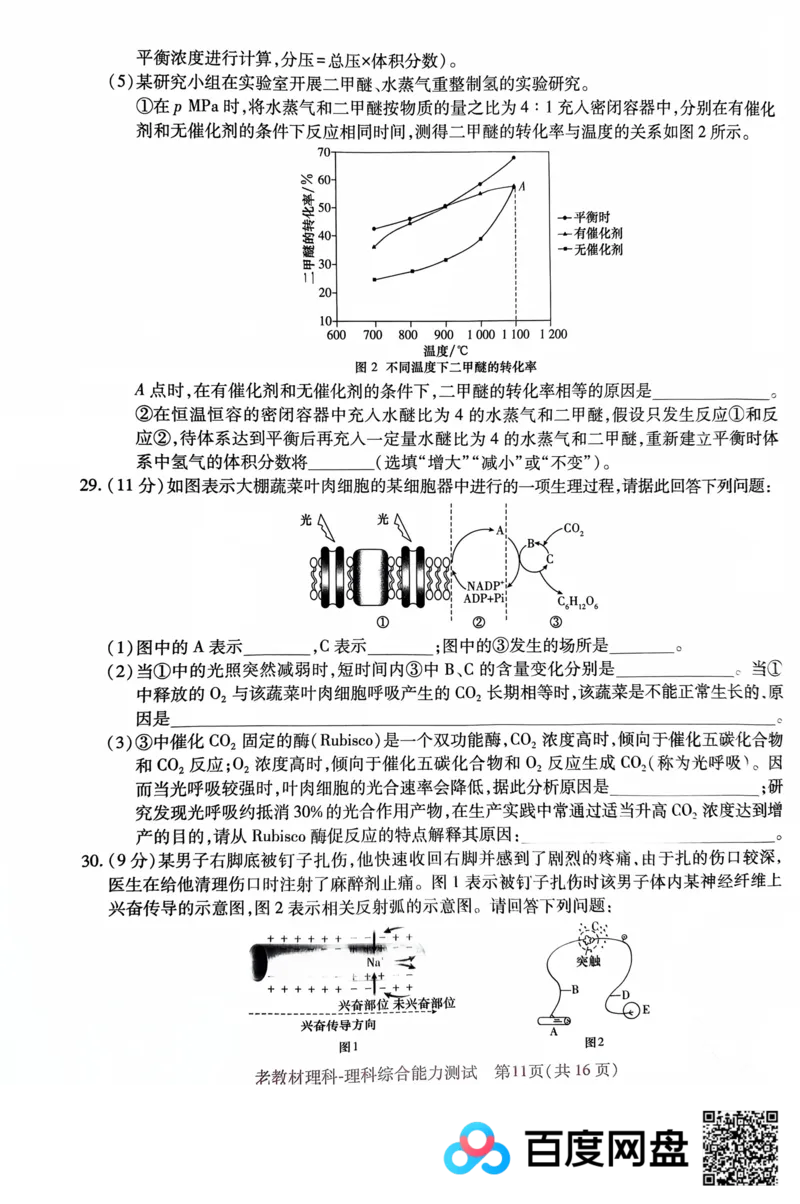 王后雄理综_2024高考押题卷_22024王hou雄_王后雄老教材理科-王后雄(陕西，四川，宁夏，青海，内蒙古)（语数英理综）_王后雄理科试卷(语数英，理综)