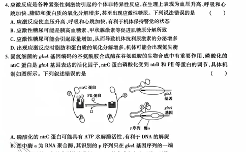 王后雄理综_2024高考押题卷_22024王hou雄_王后雄老教材理科-王后雄(陕西，四川，宁夏，青海，内蒙古)（语数英理综）_王后雄理科试卷(语数英，理综)