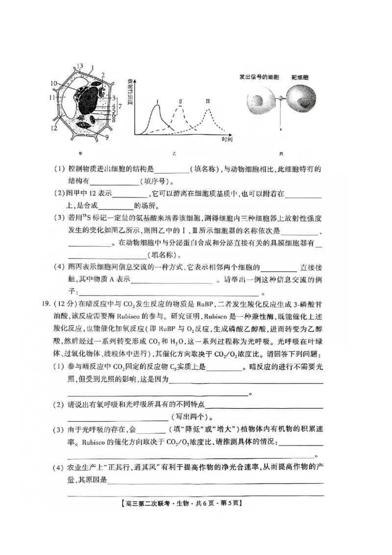 生物(1)_2023年10月_0210月合集_2024届湖南省先知高考联盟高三上学期第二次联考_湖南省先知高考联盟2024届高三上学期第二次联考生物