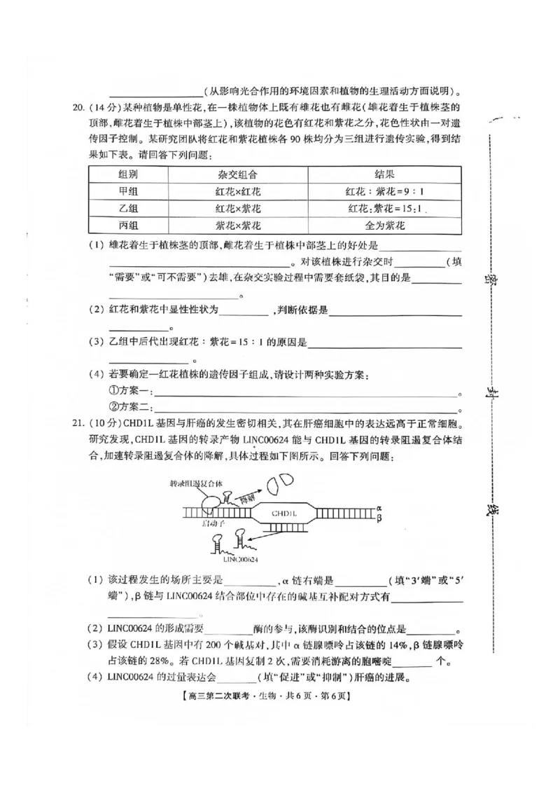 生物(1)_2023年10月_0210月合集_2024届湖南省先知高考联盟高三上学期第二次联考_湖南省先知高考联盟2024届高三上学期第二次联考生物