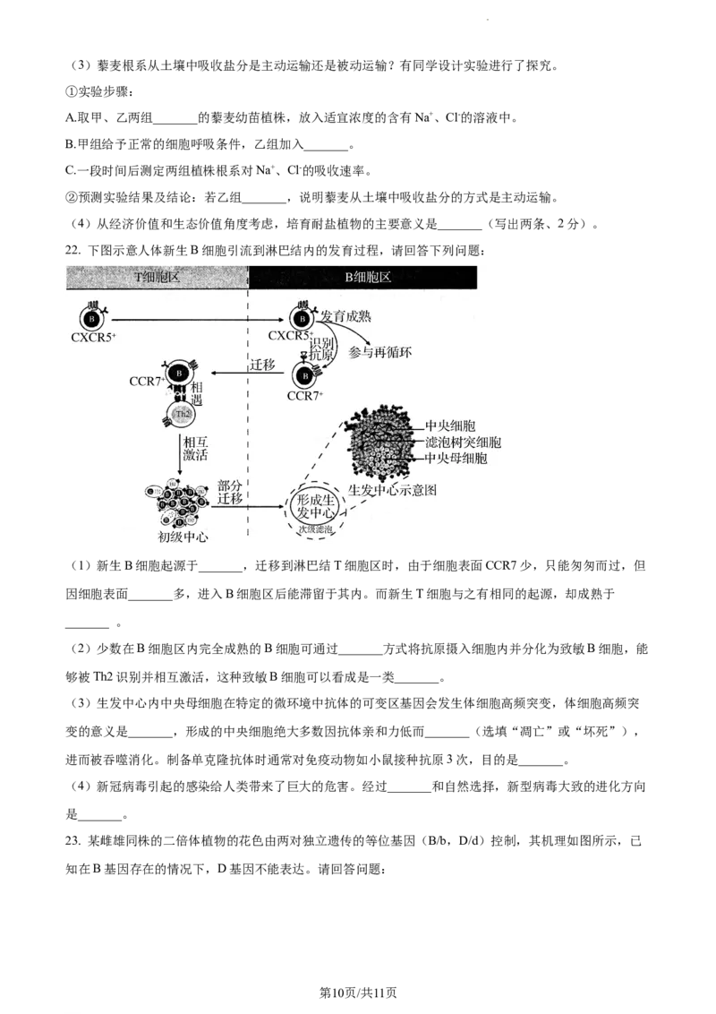 精品解析：江苏省常州市联盟学校2023-2024学年高三10月学情调研生物试题（原卷版）(1)_2023年10月_0210月合集_2024届江苏省常州市联盟学校高三上学期10月学情调研