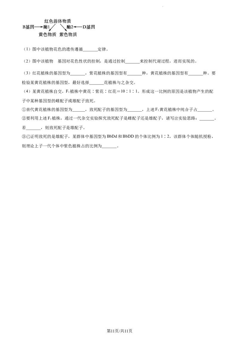 精品解析：江苏省常州市联盟学校2023-2024学年高三10月学情调研生物试题（原卷版）(1)_2023年10月_0210月合集_2024届江苏省常州市联盟学校高三上学期10月学情调研