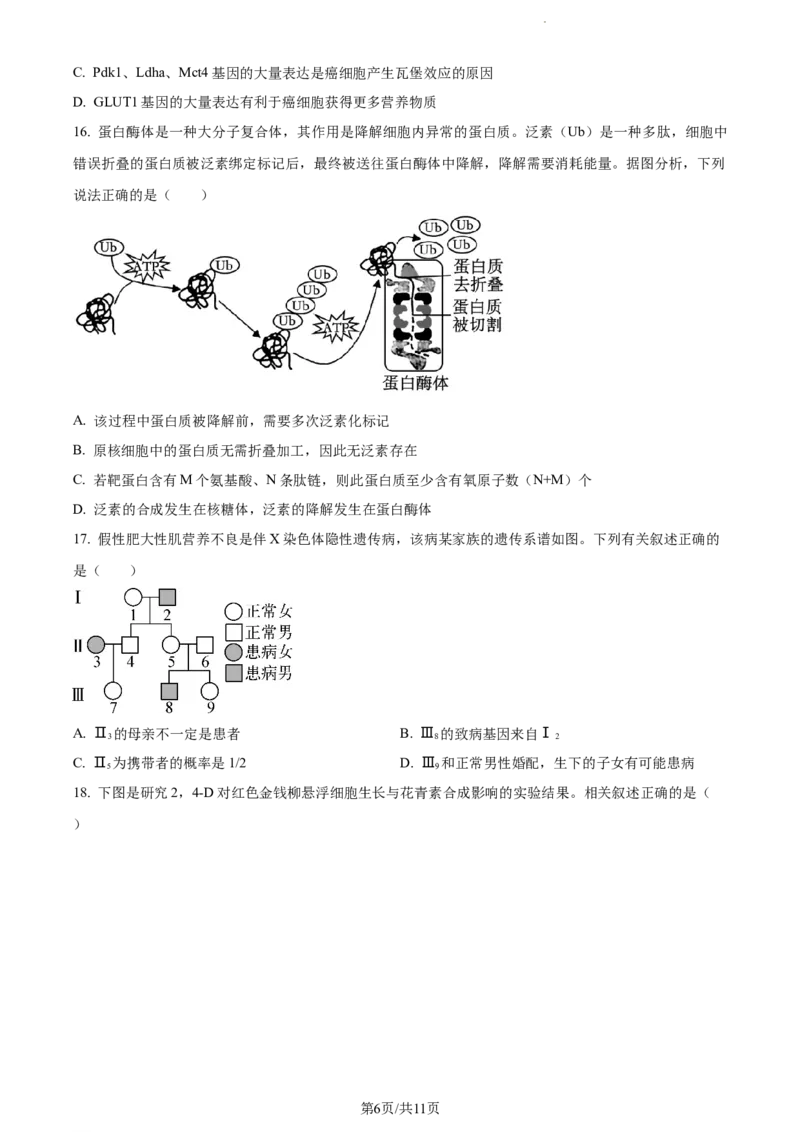 精品解析：江苏省常州市联盟学校2023-2024学年高三10月学情调研生物试题（原卷版）(1)_2023年10月_0210月合集_2024届江苏省常州市联盟学校高三上学期10月学情调研