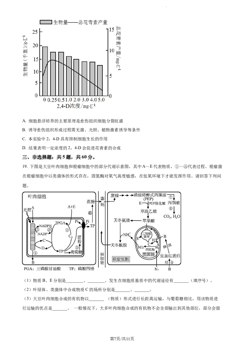 精品解析：江苏省常州市联盟学校2023-2024学年高三10月学情调研生物试题（原卷版）(1)_2023年10月_0210月合集_2024届江苏省常州市联盟学校高三上学期10月学情调研