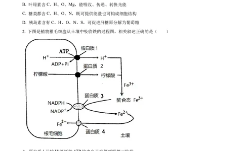 精品解析：江苏省常州市联盟学校2023-2024学年高三10月学情调研生物试题（原卷版）(1)_2023年10月_0210月合集_2024届江苏省常州市联盟学校高三上学期10月学情调研