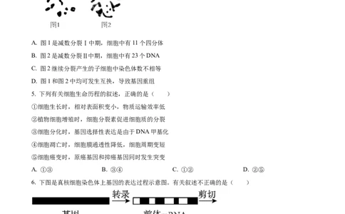 精品解析：江苏省常州市联盟学校2023-2024学年高三10月学情调研生物试题（原卷版）(1)_2023年10月_0210月合集_2024届江苏省常州市联盟学校高三上学期10月学情调研