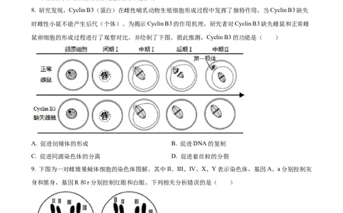 精品解析：江苏省常州市联盟学校2023-2024学年高三10月学情调研生物试题（原卷版）(1)_2023年10月_0210月合集_2024届江苏省常州市联盟学校高三上学期10月学情调研