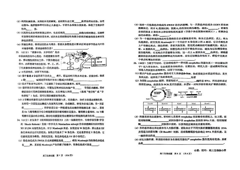 2024届吉林省吉林地区普通高中高三三模考试生物试卷+答案(1)_2024年4月_024月合集_2024届吉林省吉林地区普通高中高三三模考试