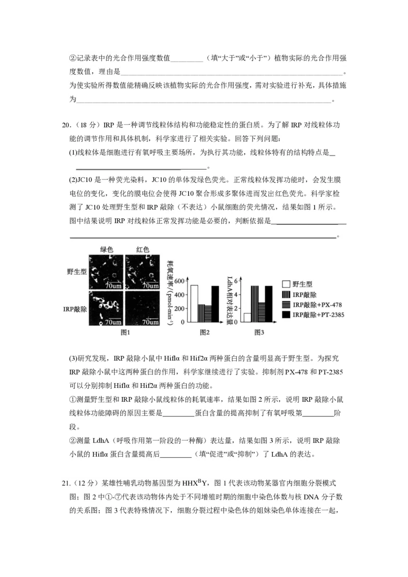 湖北省荆州中学2023-2024学年高三上学期10月半月考生物试题(1)_2023年10月_0210月合集_2024届湖北省荆州中学高三上学期10月半月考_湖北省荆州中学2024届高三上学期10月半月考生物