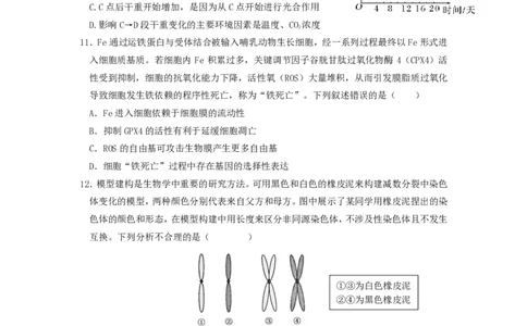 湖北省荆州中学2023-2024学年高三上学期10月半月考生物试题(1)_2023年10月_0210月合集_2024届湖北省荆州中学高三上学期10月半月考_湖北省荆州中学2024届高三上学期10月半月考生物