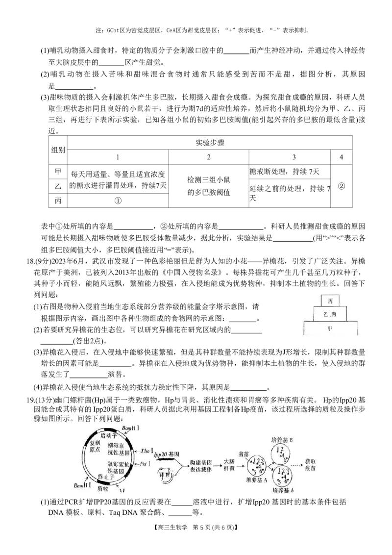 重庆好教育联盟2024届高三金太阳9月开学联考生物试题_2023年9月_01每日更新_11号_2024届重庆好教育联盟高三金太阳9月开学联考_重庆好教育联盟2024届高三金太阳9月开学联考生物