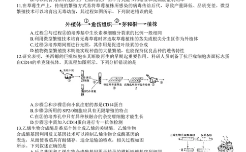 重庆好教育联盟2024届高三金太阳9月开学联考生物试题_2023年9月_01每日更新_11号_2024届重庆好教育联盟高三金太阳9月开学联考_重庆好教育联盟2024届高三金太阳9月开学联考生物