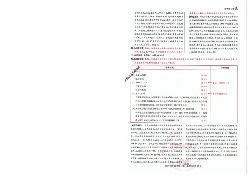 王后雄高考押题预测卷2024湖南专版-答案提分策_2024高考押题卷_22024王hou雄_16王后雄押题_2024年王后雄高考押题预测卷（湖南专版）