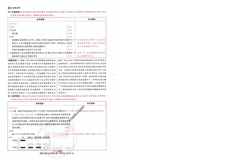 王后雄高考押题预测卷2024湖南专版-答案提分策_2024高考押题卷_22024王hou雄_16王后雄押题_2024年王后雄高考押题预测卷（湖南专版）