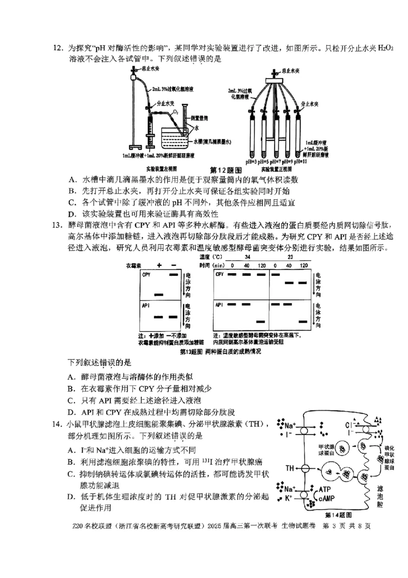 2025届Z20名校联盟(浙江省名校新高考研究联盟)高三第一次联考生试卷及答案(1)_8月_2408242025届Z20名校联盟(浙江省名校新高考研究联盟)高三第一次联考