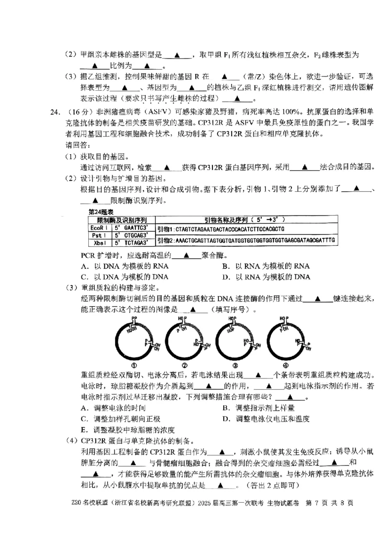 2025届Z20名校联盟(浙江省名校新高考研究联盟)高三第一次联考生试卷及答案(1)_8月_2408242025届Z20名校联盟(浙江省名校新高考研究联盟)高三第一次联考