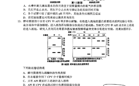 2025届Z20名校联盟(浙江省名校新高考研究联盟)高三第一次联考生试卷及答案(1)_8月_2408242025届Z20名校联盟(浙江省名校新高考研究联盟)高三第一次联考