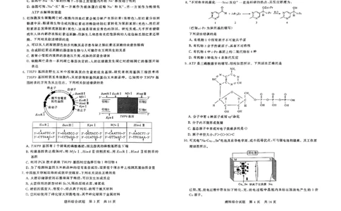 2024届山西高三第二次学业质量评价理科综合试题_2024年3月_013月合集_2024届山西省高三第二次学业质量评估_山西省2024届高三第二次学业质量评估理综