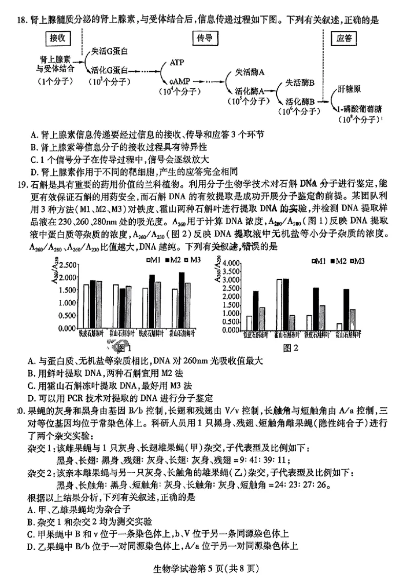 2024东北三省三校高三下第一次联合模拟考-生物(1)_2024年2月_022月合集_2024届东北三省三校高三下第一次联合模拟考