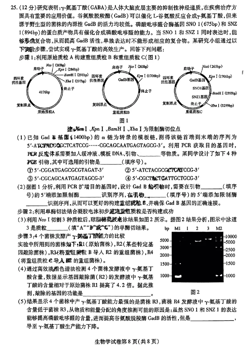 2024东北三省三校高三下第一次联合模拟考-生物(1)_2024年2月_022月合集_2024届东北三省三校高三下第一次联合模拟考