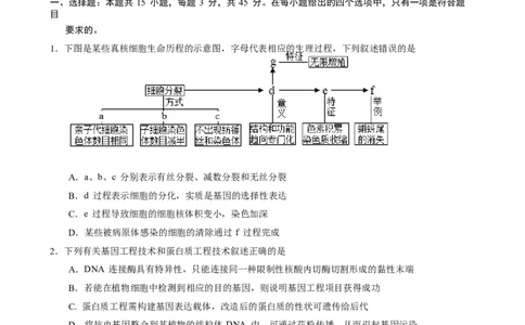 重庆市第一中学2023-2024学年高三上学期开学考试生物试题word_2023年9月_01每日更新_23号_2024届重庆市第一中学高三上学期开学考试_重庆市第一中学2024届高三上学期开学考试生物
