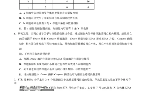 重庆市第一中学2023-2024学年高三上学期开学考试生物试题word_2023年9月_01每日更新_23号_2024届重庆市第一中学高三上学期开学考试_重庆市第一中学2024届高三上学期开学考试生物